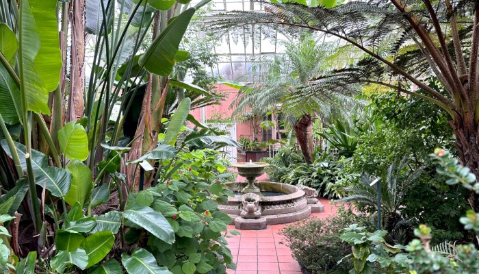 Botanical Gardens Subtropical House